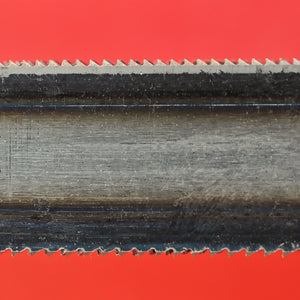 SHINTO Nahaufnahme Holz Raspel Feile 200mm Japan Seitaufnahme E1201